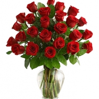Two Dozen Premium Long Stem Red Roses