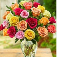 Two Dozen Assorted Roses