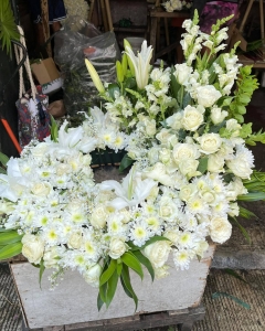 Funeral_Days Of Our Lives (URN)